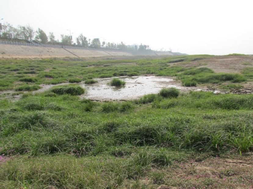 Once 3,500 square kilometers in coverage, Lake Poyang, China's largest freshwater lake, is increasingly impacted by drought and declining water levels.