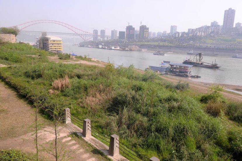The trial project to recover vegetation along the reservoir’s drawdown zone in the Jiangbeizui area in urban Chongqing, by Fan Xiao, April 2012.