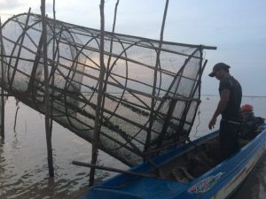 Fisherman checks his nets on Cambodia’s Tonle Sap.